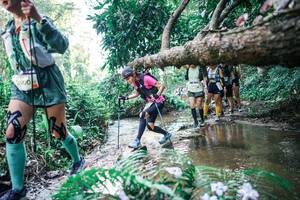 BIB: 
                            <button type="button" onclick="openModal(25461857)" class="btn btn-primary btn-sm float-right btn-popup" data-toggle="modal" data-target=".modal-high-quality">
                        <i class="fas fa-shopping-cart"></i> Add to Cart
                    </button>
                                            <button type="button" onclick="isThisMe(25461857, true)" class="btn btn-success btn-sm float-right btn-popup btn-isme hidden" data-toggle="tooltip" data-placement="bottom" title="นี่คือรูปของคุณใช่ไหม คลิกที่นี่เพื่อเอาเข้าอัลบั้ม">
                        <i class="fas fa-plus"></i> Add to album
                    </button>
                    <button type="button" onclick="isThisMe(25461857, false)" class="btn btn-warning btn-sm float-right btn-popup btn-isnotme hidden">
                        <i class="fas fa-ban"></i> Remove from album
                    </button>